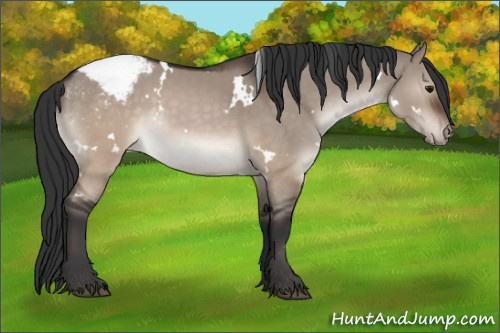 Horse Color:White Spotted Brown Dun Snowcap 