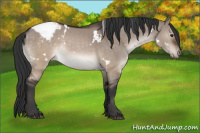 Horse Color:White Spotted Brown Dun Snowcap 