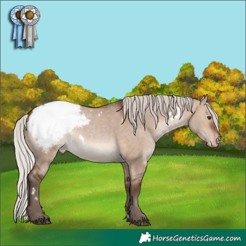 Horse Color:White Spotted Silver Brown Dun Snowcap