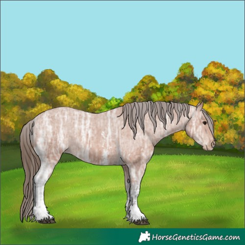Horse Color:Bay Ice Sabino Varnish Rabicano