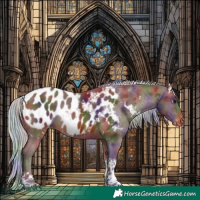 Horse Color:Nacre White Spotted Silver Brown Tobiano Near Leopard 