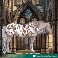 Horse Color:Nacre White Spotted Silver Brown Tobiano Appaloosa