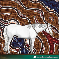 Horse Color:White Spotted Silver Brown Ice Appaloosa 