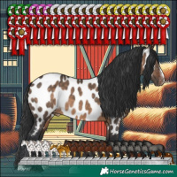 Horse Color:Brown Dun Sabino Appaloosa 