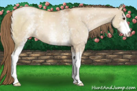 Horse Color:White Spotted Grullo Pearl Sabino