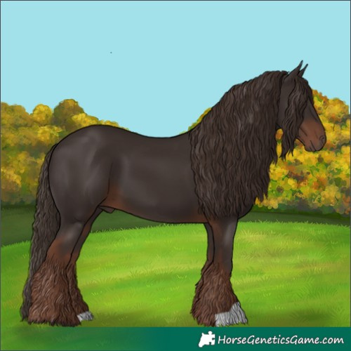 Horse Color:Liver Chestnut 