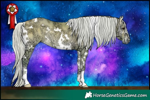 Horse Color:Watercolor White Spotted Silver Buckskin Ice Onyx Rabicano 