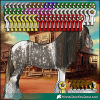 Horse Color:Smoky Grullo Pearl Splash Tobiano Rabicano  and Gray Grullo Tobiano Blanket 