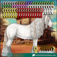 Horse Color:Smoky Grullo Pearl Splash Tobiano Rabicano  and Gray Grullo Tobiano Appaloosa 