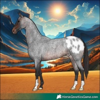 Horse Color:Brown Roan Blanket 