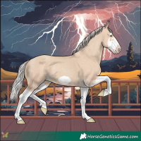 Horse Color:Silver Classic Champagne Dun Splash Frame