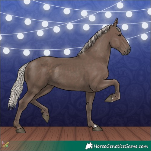 Horse Color:Silver Black