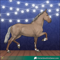 Horse Color:Silver Grullo 