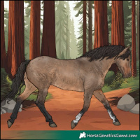 Horse Color:Brown Dun Sabino Rabicano
