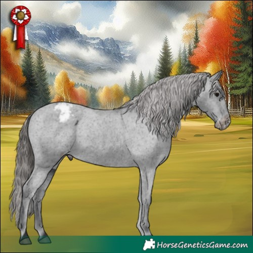 Horse Color:Black Appaloosa Rabicano 