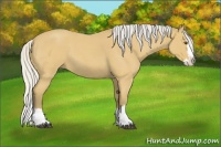 Horse Color:Silver Buckskin Roan Splash 