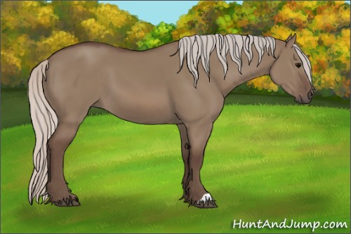 Horse Color:Silver Grullo 
