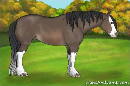 Horse Color:Brown Dun Sabino Splash 