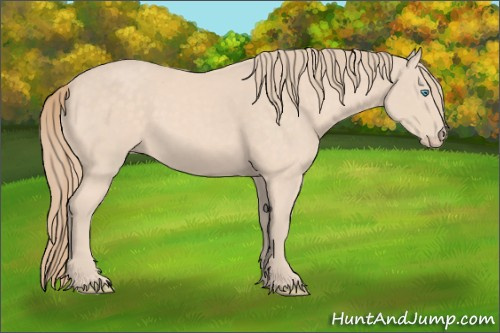 Horse Color:Perlino
