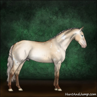 Horse Color:Gray White Spotted Silver Sable Champagne Dun 
