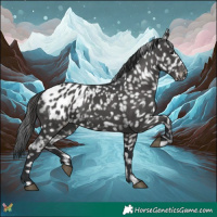 Horse Color:Black Appaloosa