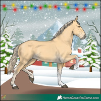 Horse Color:Palomino Dun Tobiano 