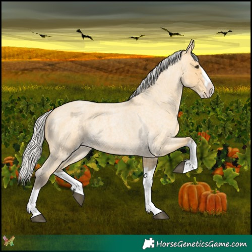 Horse Color:Silver Buckskin Roan Splash