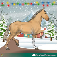 Horse Color:Palomino Dun Tobiano 