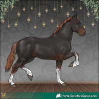 Horse Color:White Spotted Liver Chestnut 