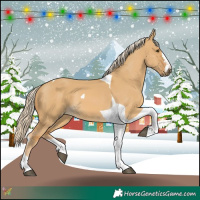Horse Color:Palomino Dun Tobiano 