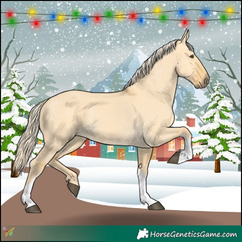 Horse Color:Palomino Dun Tobiano