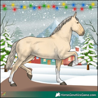 Horse Color:Palomino Dun Tobiano 