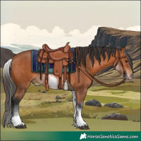 Horse Color:White Spotted Bay Sabino Frame 