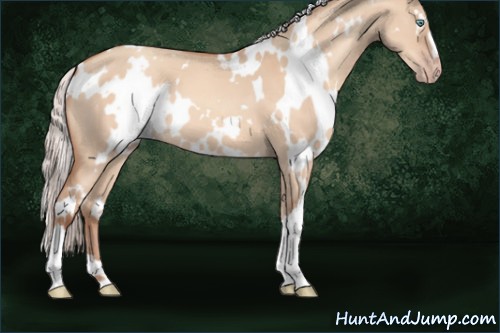 Horse Color:White Spotted Silver Amber Champagne Dun 