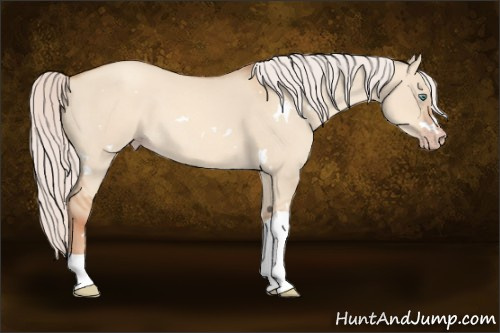 Horse Color:White Spotted Silver Classic Champagne Dun Tobiano 
