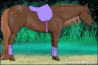 Horse Color:Chestnut Frame 