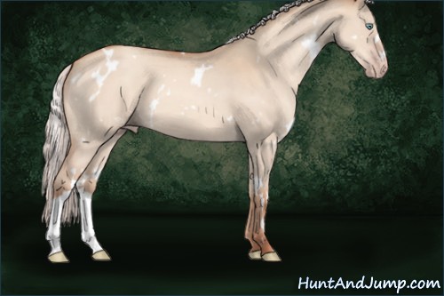 Horse Color:White Spotted Silver Sable Champagne Dun 