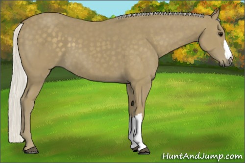 Horse Color:Silver Smoky Black 