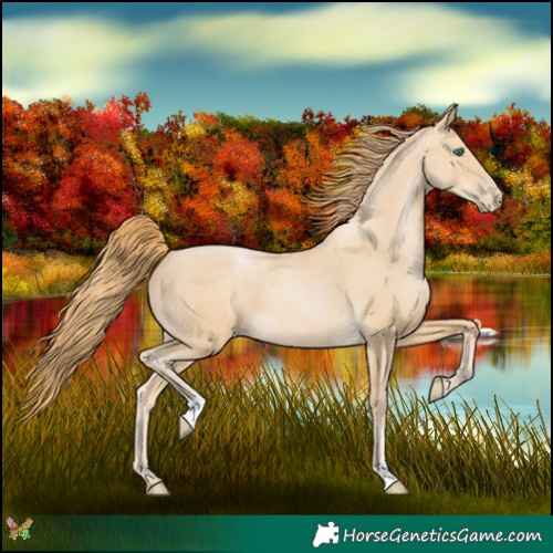 Horse Color:Smoky Black Pearl