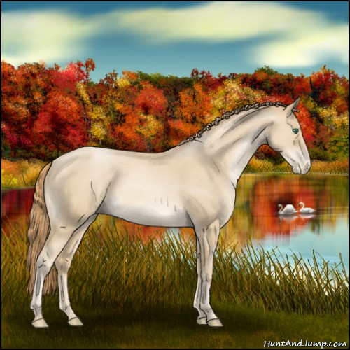 Horse Color:Smoky Black Pearl 