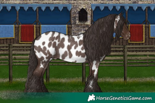 Horse Color:Liver Red Roan Near Leopard