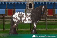 Horse Color:Liver Red Roan Near Leopard 