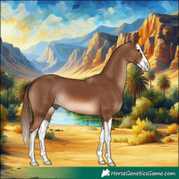Horse Color:Chestnut Splash 