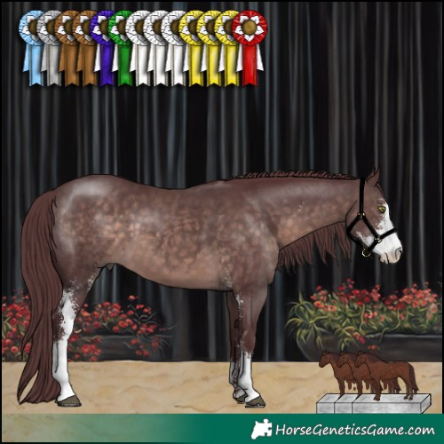 Horse Color:Platinum Chocolate Brown Sabino 