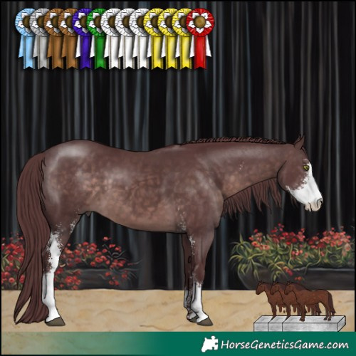 Horse Color:Platinum Chocolate Brown Sabino 