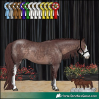 Horse Color:Platinum Chocolate Brown Sabino 