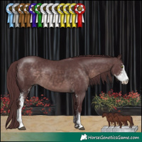 Horse Color:Platinum Chocolate Brown Sabino 