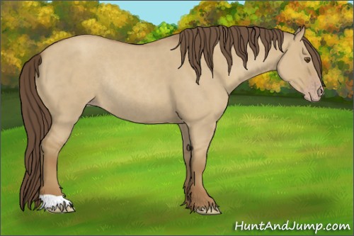 Horse Color:Classic Cream Champagne Roan Dun Rabicano