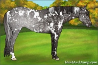 Horse Color:White Spotted Smoky Black Ice Rabicano 