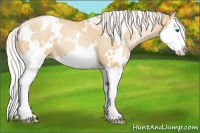 Horse Color:White Spotted Silver Smoky Black Pearl Splash 